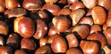 Castagne