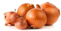Cipolla dorata