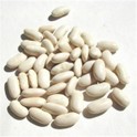 Fagioli cannellini