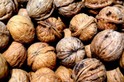 Noci