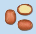 Patata Draga