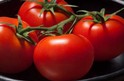 Pomodoro tondo