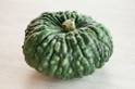 Zucca Marina di Chioggia