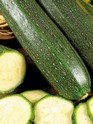 Zucchine